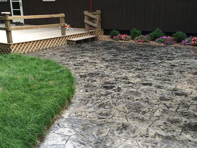 Decorative Patio Flowers